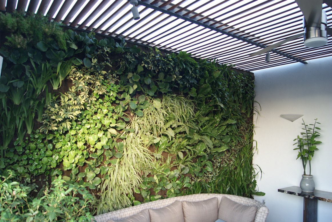 Mar Amarillo, Guadalajara, Jalisco — GEC Arquitectos